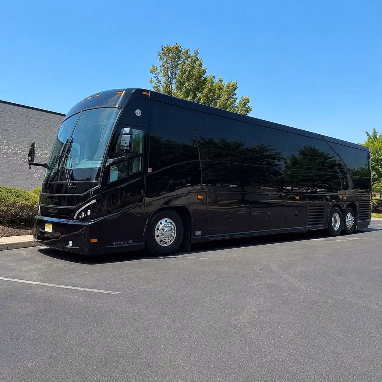 56 passenger charter bus